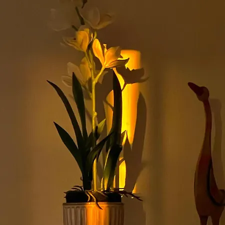 Casa Del - Am Duemmer